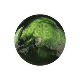 Farba akrylowa Prima AVOCADO GREEN Liquid Finnabair 30ml