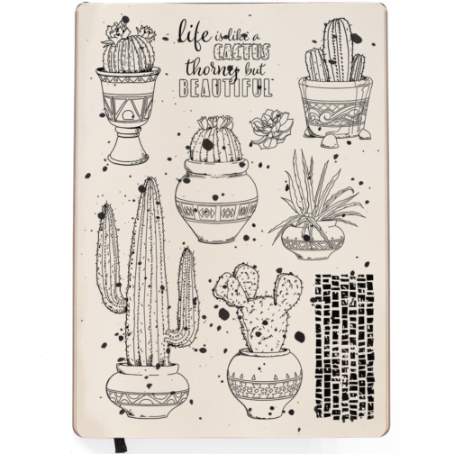 STEMPLE-LIFE-IS-LIKE-A-CACTUS